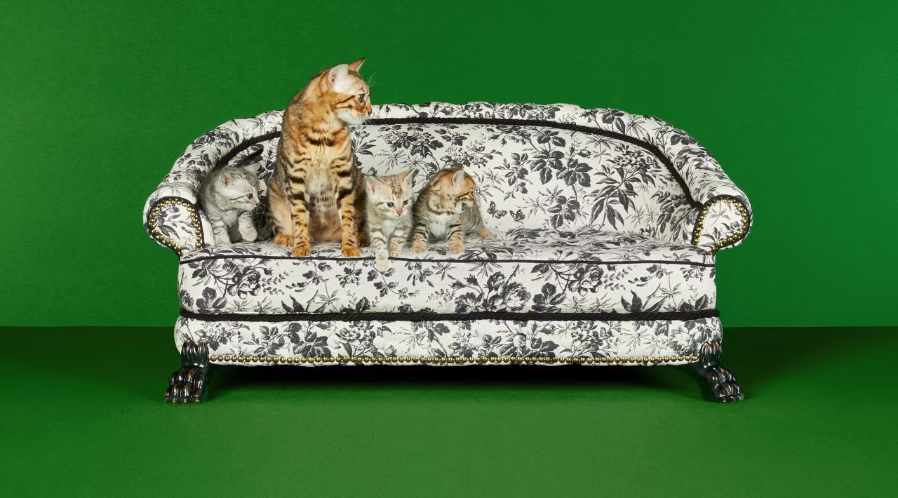 Gucci Luxury Pet Bed