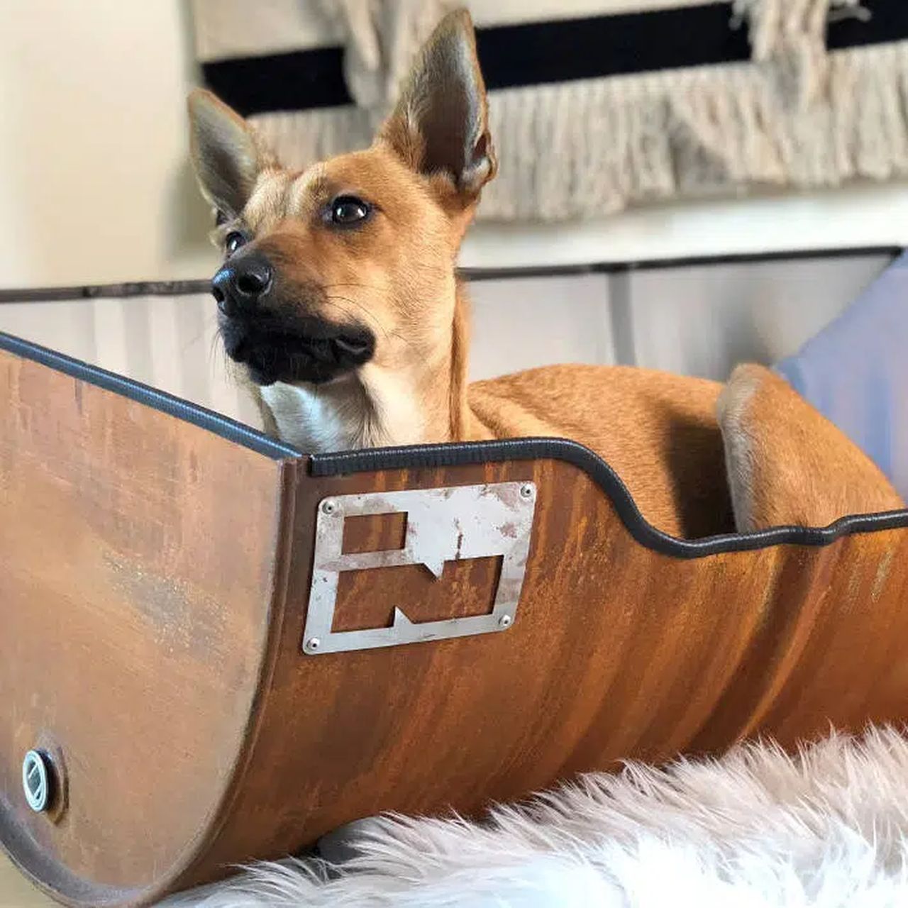 Metal Drum Transformed Into Oil Barrel 