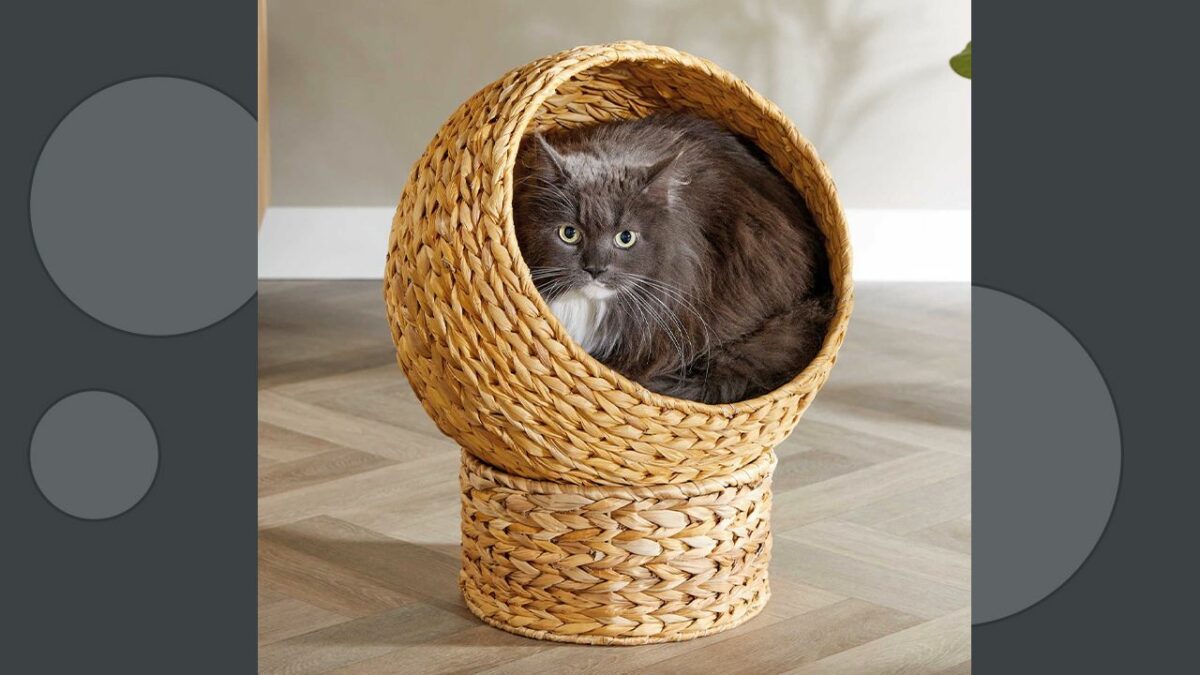 Aldi's Woven Banana Leaf Cat Egg Chair is Stylish and Comforting