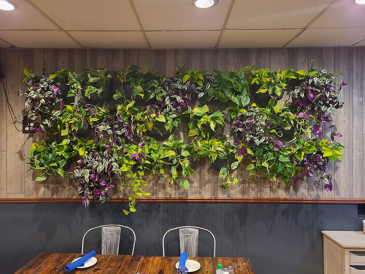 Create the perfect living wall in the dining room to add color and contrast to the space