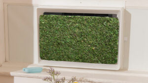 July air conditioner with moss panel