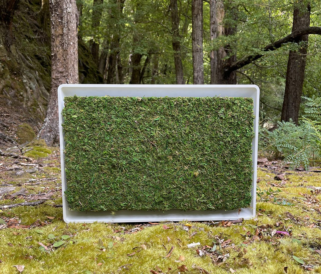 July air conditioner with moss panel