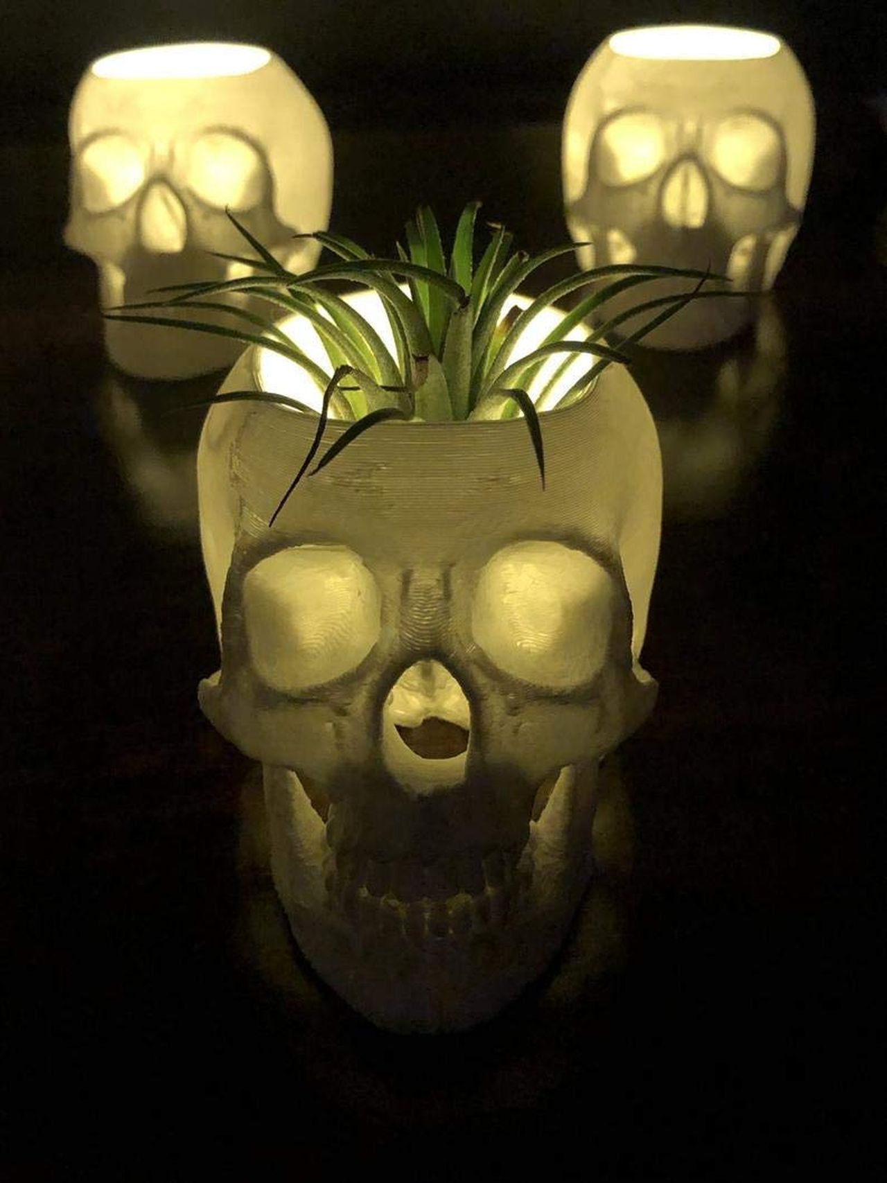 Skull Light up Planter_Spooky Halloween Lighting to Glam Your House Interior