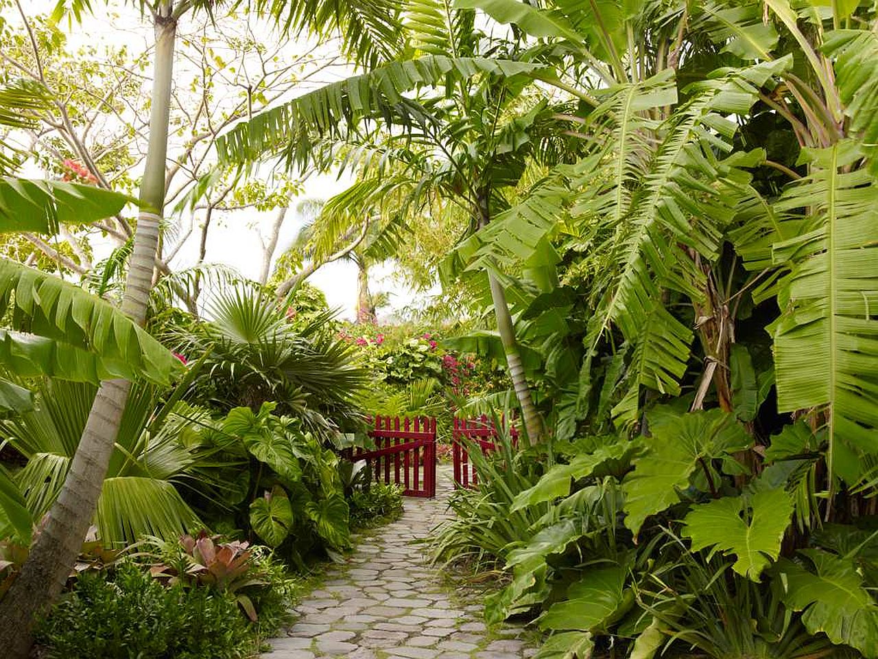 Vibrant tropical garden with a lovely natural stone pathway