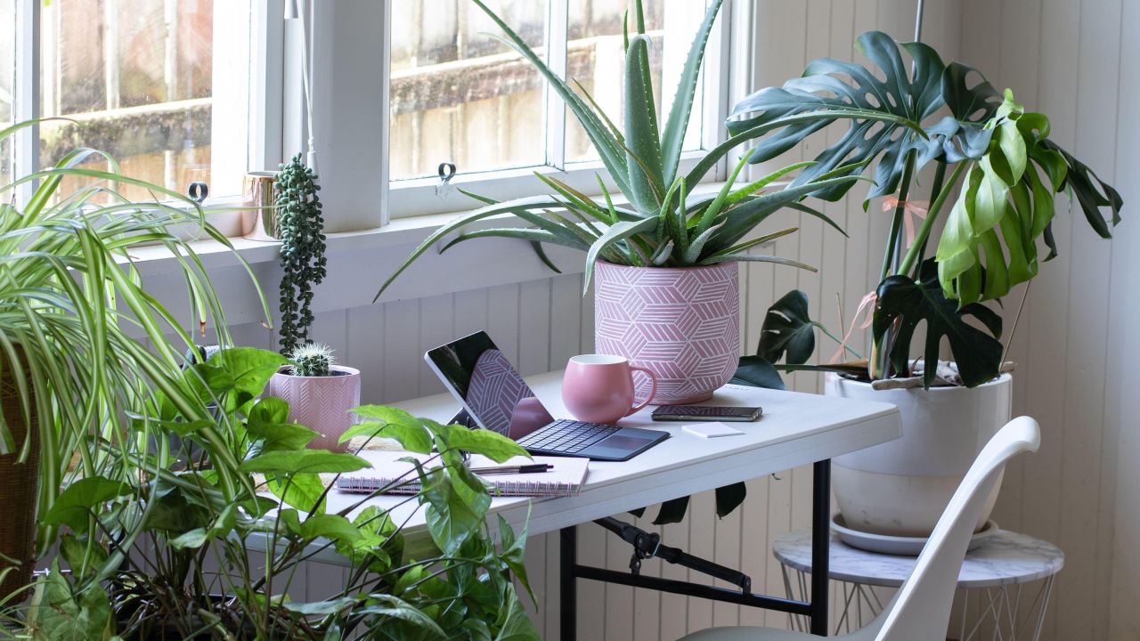 Add some greenery around your workspace