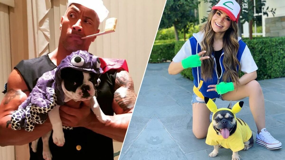 20+ Best Celebrity Pet Halloween Costume Ideas to Steal