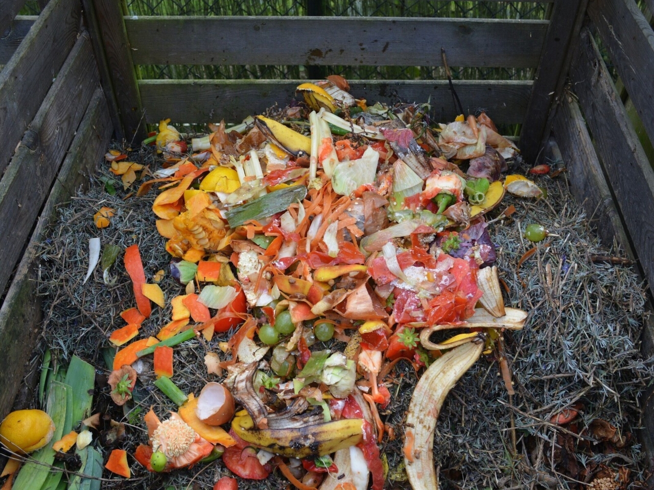 Fall Gardening Tips - Add Organic Matter