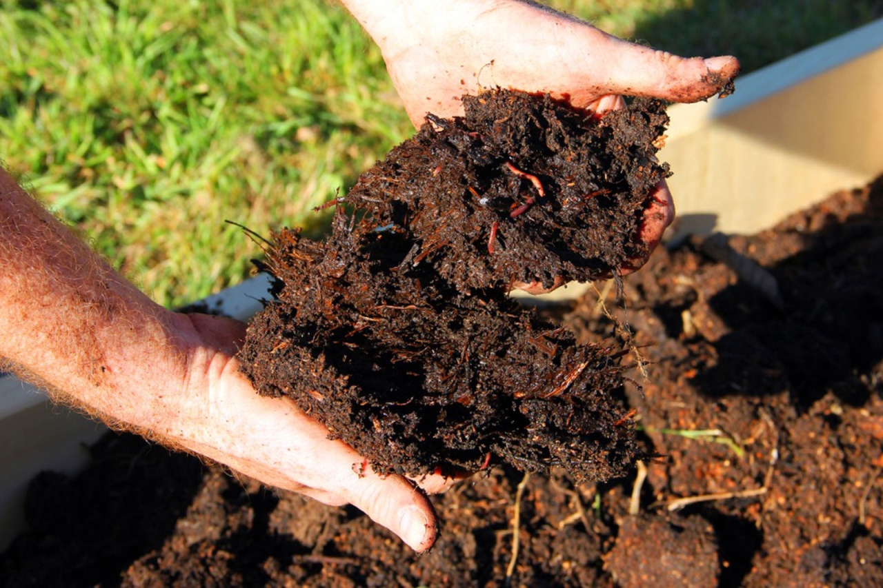 Fall Gardening Tips - Add Soil Amendments