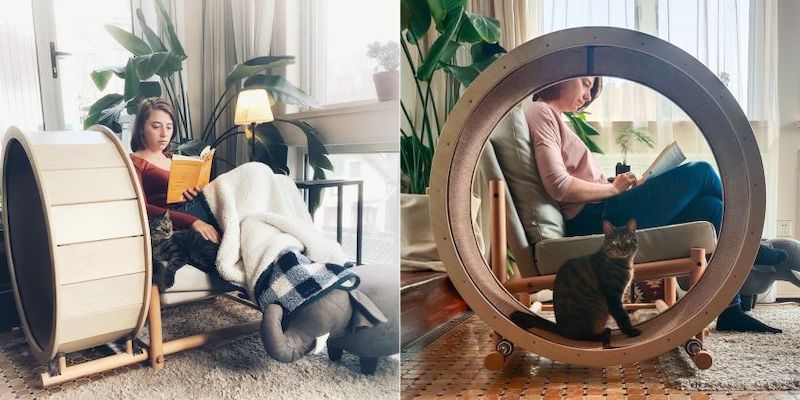 Pet Furniture That are Designed For Both Pets and Humans