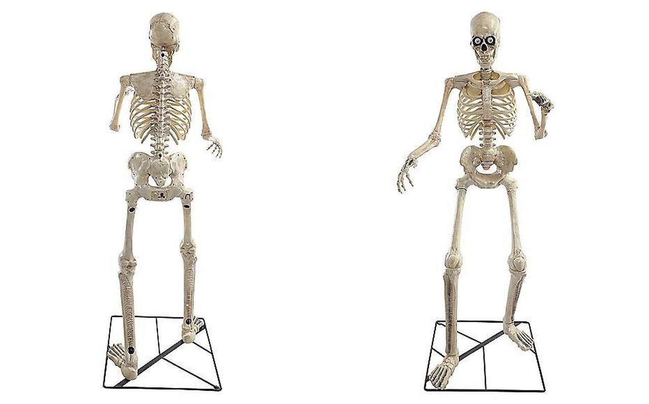 Animatronic Halloween Skeleton decoration