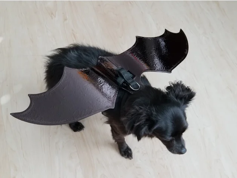 DIY Bat Dog costume halloween 