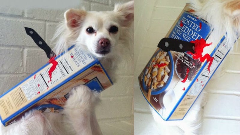 dog’s DIY ‘Cereal’ Killer Costume