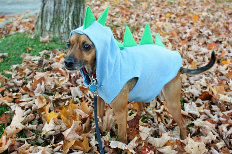 dinosaur dog costume