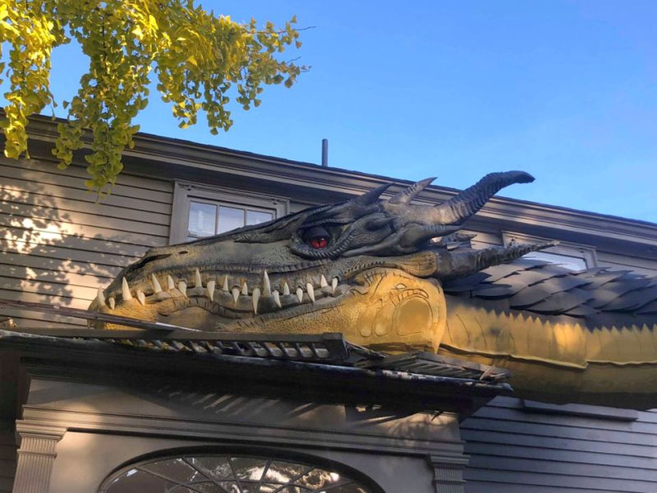 Gigantic dragon crawling on garage dome