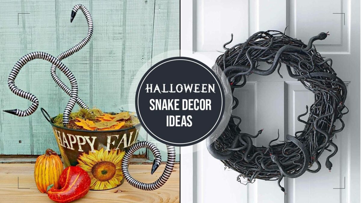 Halloween Snake Decoration Ideas for 2023