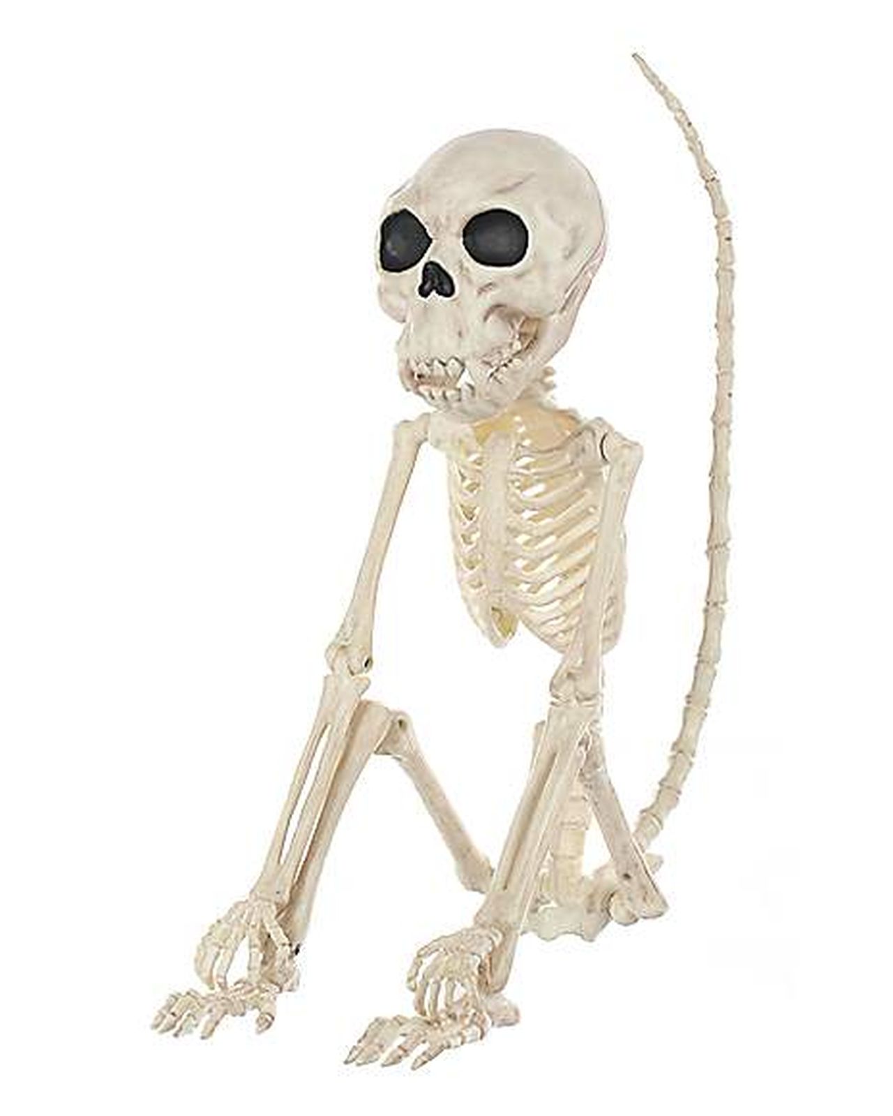 Halloween Skeleton Props - monkey 