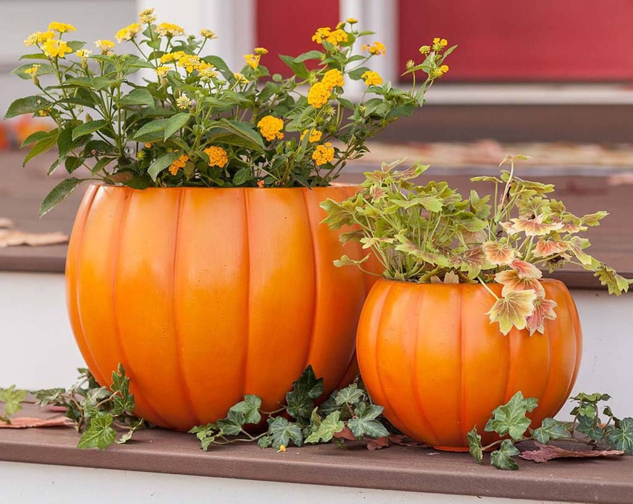 Pumpkin planter for porch_2