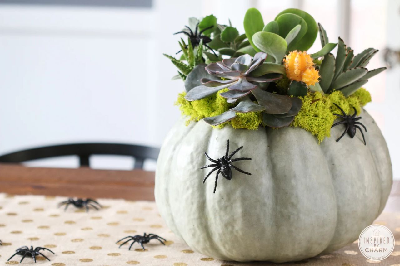 Pumpkin planter for indoor 