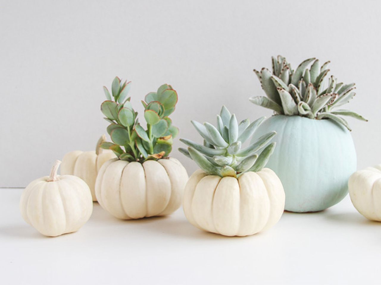 Pumpkin planter for porch