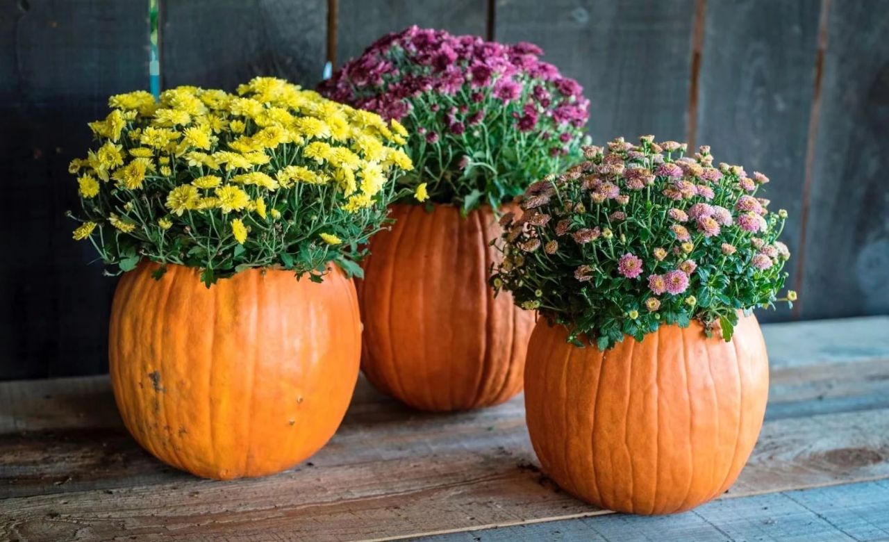 How to Make a Pumpkin Planter For Halloween