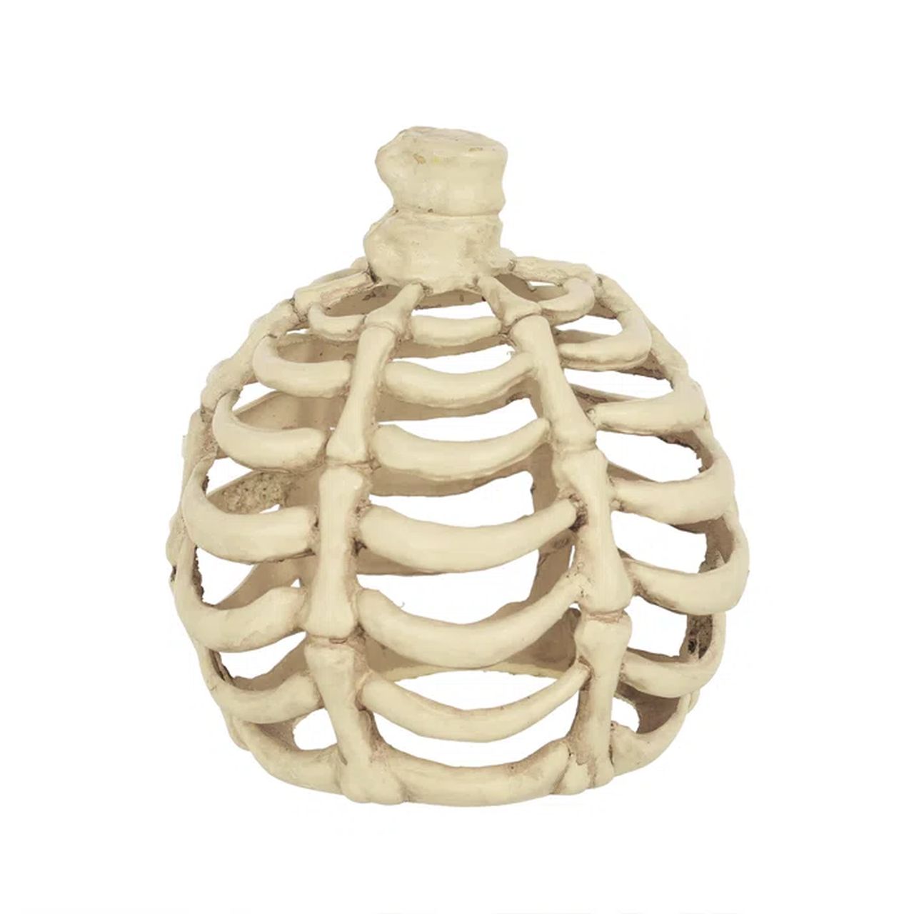 Pumpkin skeleton_Unique Skeleton props You Can Buy in 2022