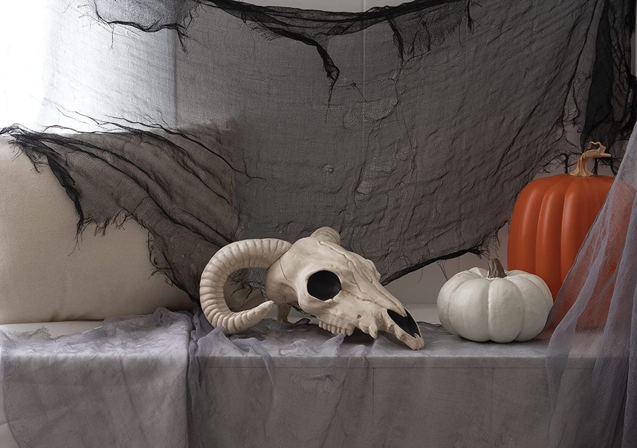 Ram Skull_Best Halloween Skeletons to Buy 2022