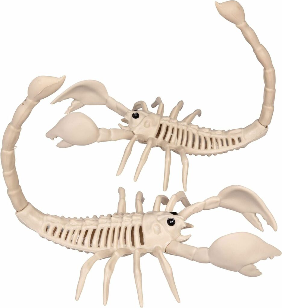 Scorpion skeleton