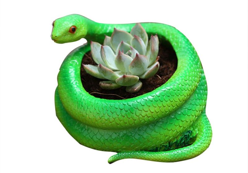 Creative Snake Shaped Succulent Planter