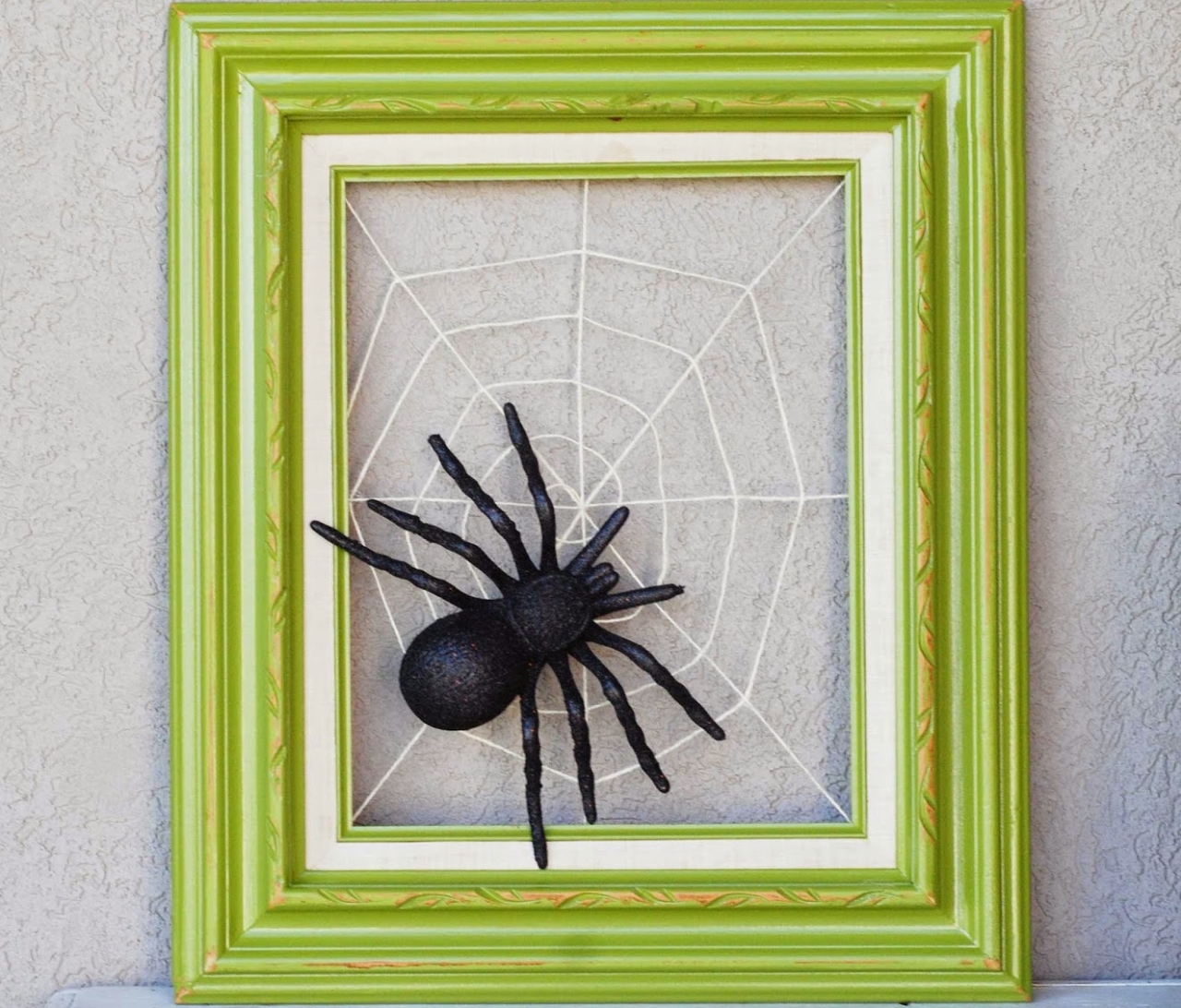 Spiderweb in Frame - Becki Adams