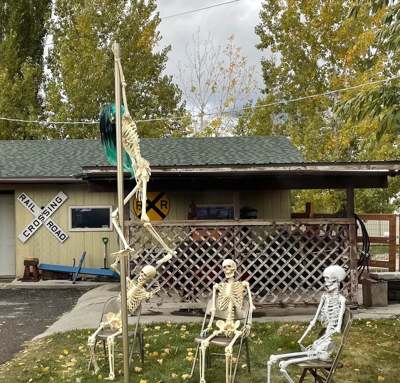 Three spooky skeletons witnessing a skeleton doing pole dance 