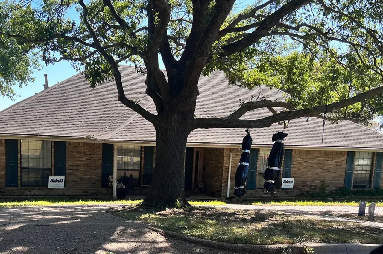 Two bodies hanging by a tree with abbott signboards in background