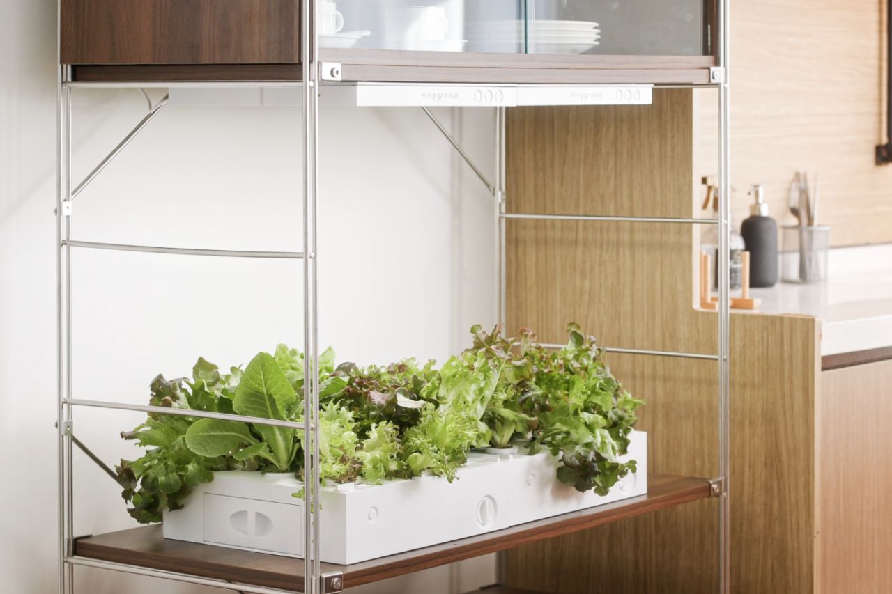 Verda indoor Garden by Veggroom