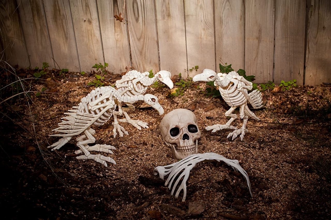 Vulture Skeleton_Best Halloween Skeletons to Buy 2022