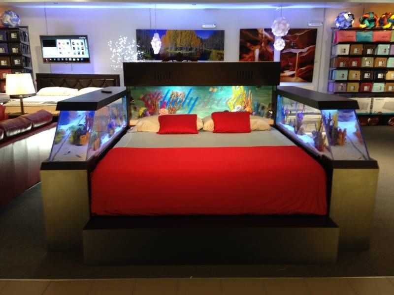 Aquarium inspired unique bed design idea