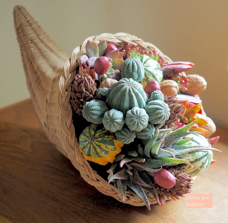 cornucopia decked with succulents  