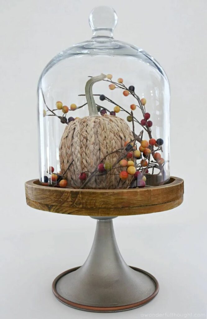 Pumpkin and berries inside glass bell cloche  