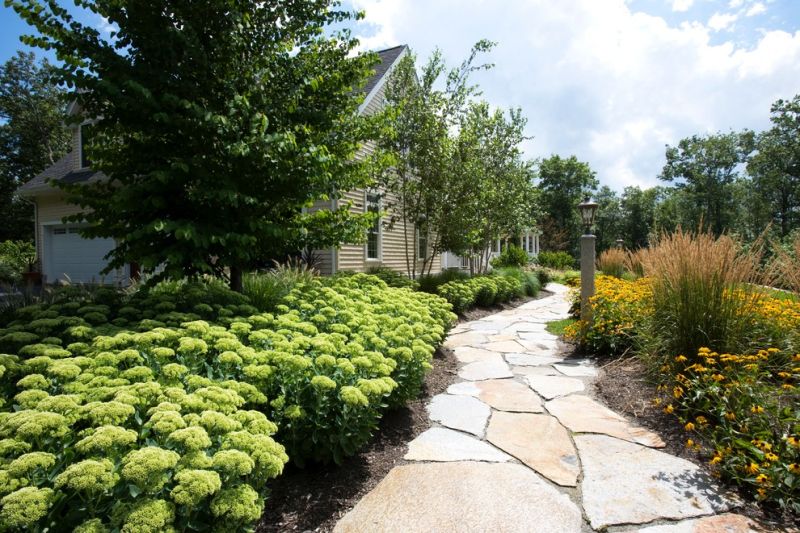 Stone garden pathway 