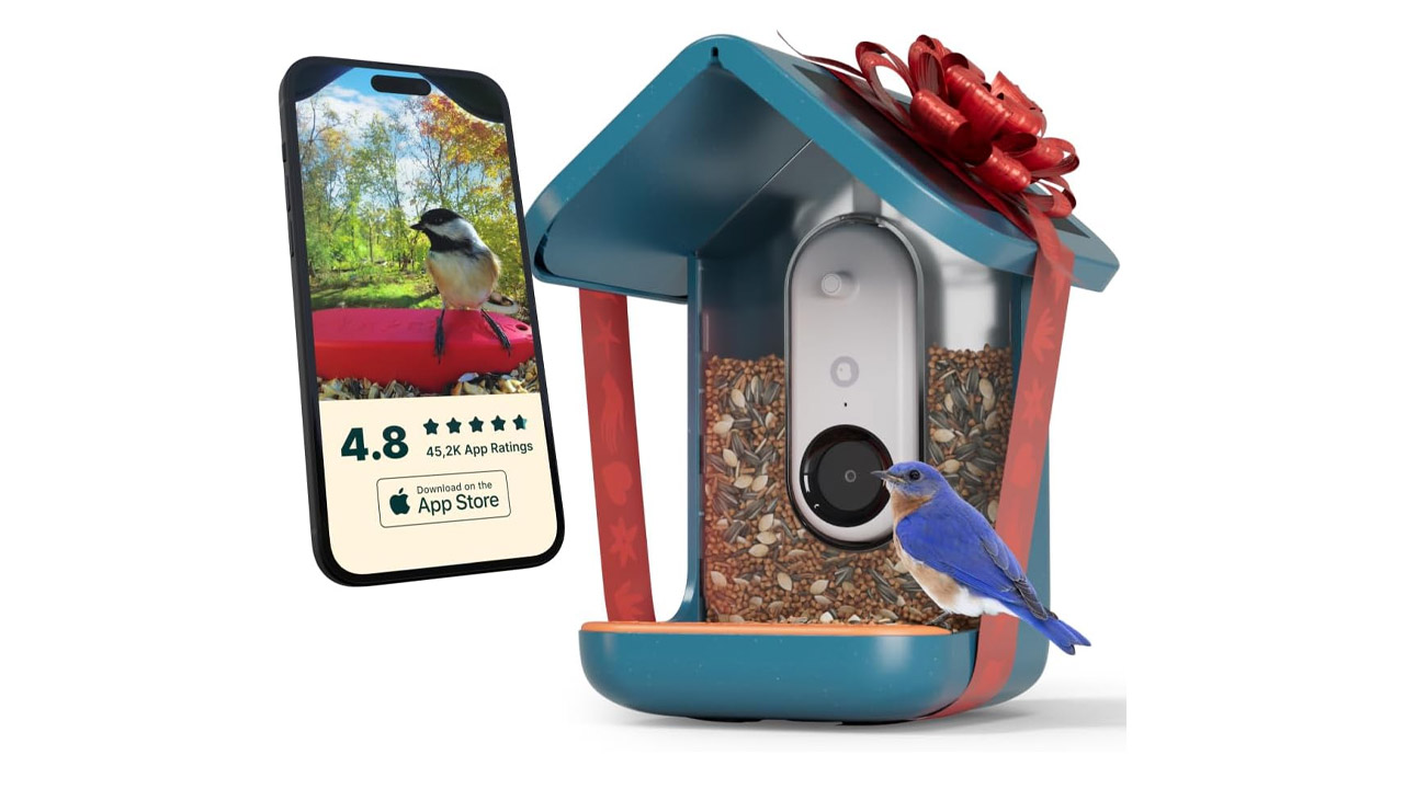 Bird Buddy Smart Bird Feeder smart home Christmas gift 