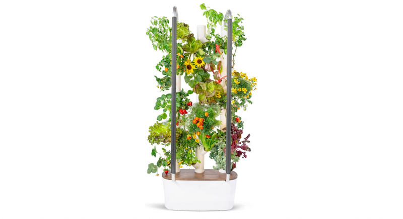 Gardyn 3.0 The New Generation of Hydroponics Growing System