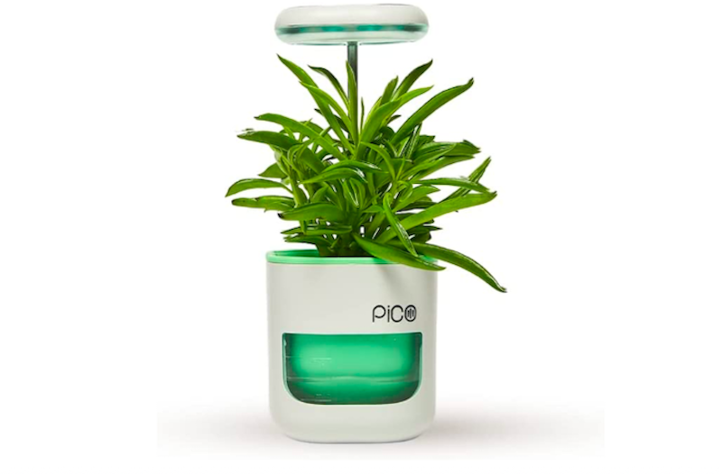 Pico Planter Indoor Garden