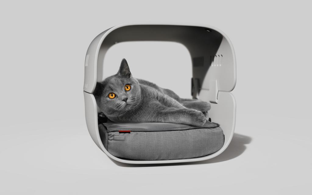 The Burrow pet carrier by Olga Orel 