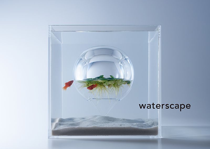 gravity-defying fish tank is created by Japanese designer Haruka Misawa