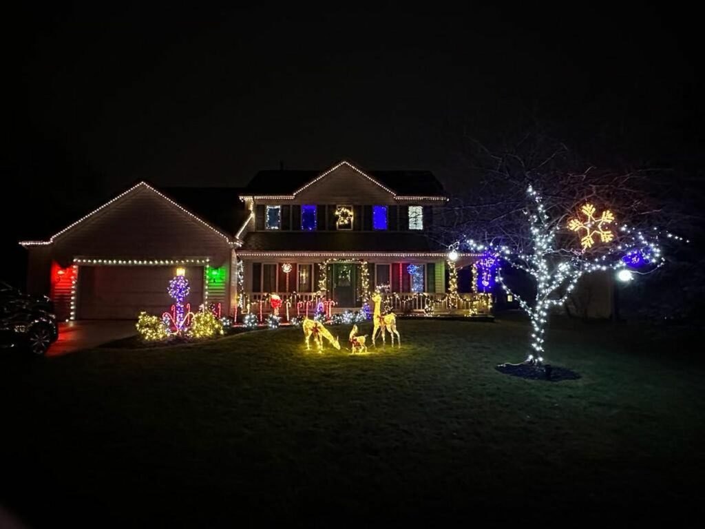 wildlife-themed Christmas light display 