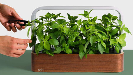 Best Automated Indoor Gardens to Buy