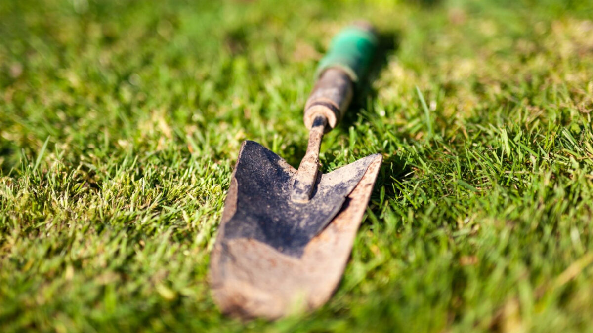 How to Maintain and Care for Garden Tools