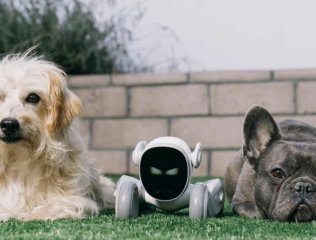 Loona petbot by KEYi Tech