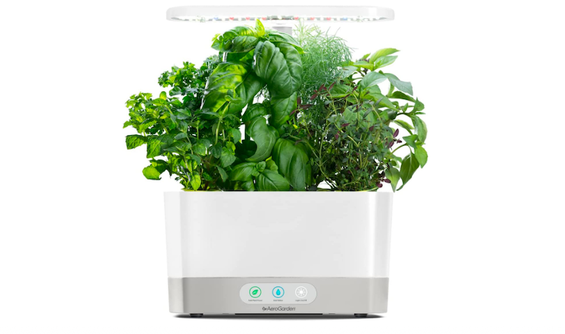 AeroGarden Harvest with Gourmet Herb Seed Pod Kit