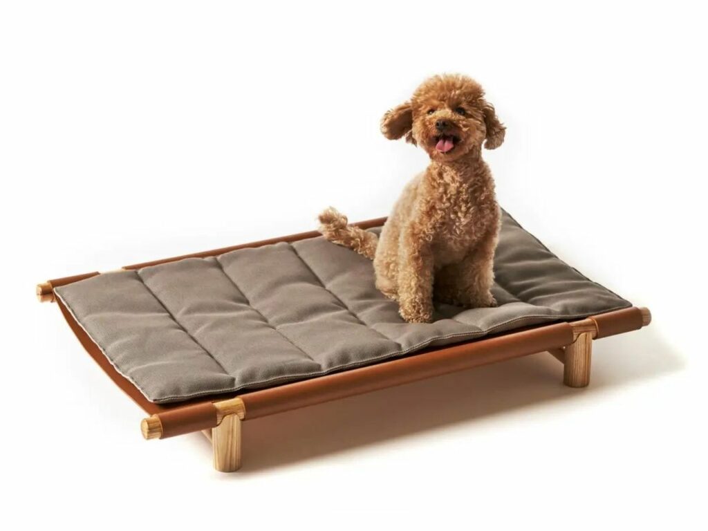 Berberé Foldable Travel Bed for Pet Parents on the Go