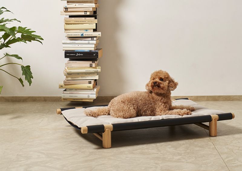 Berberé Foldable Travel Bed for Pet Parents on the Go