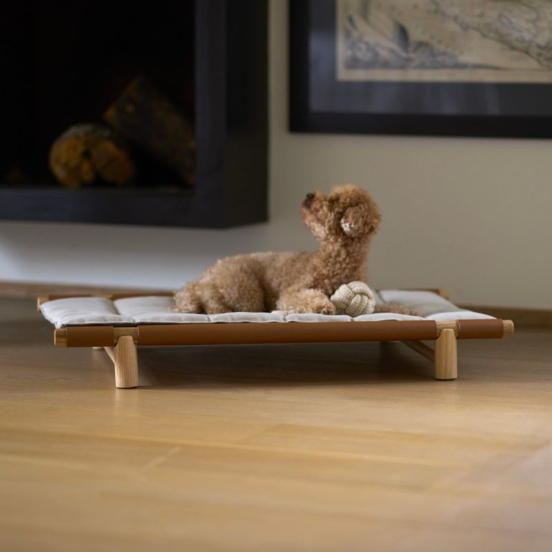 Berberé Foldable Travel Bed for Pet Parents on the Go